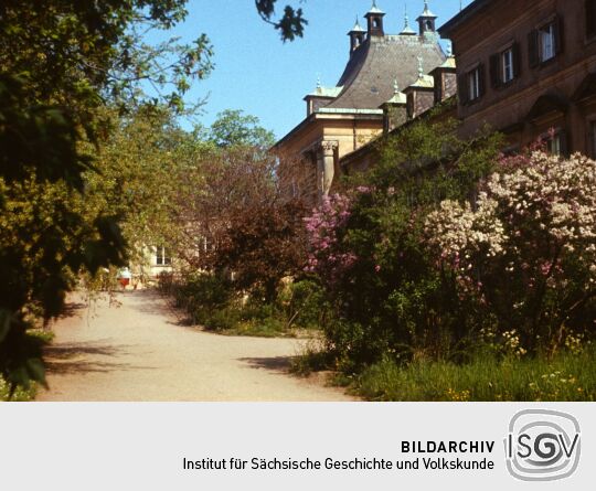 Anlegen Inselarm Pillnitz 1981 (Schloss Pillnitz)