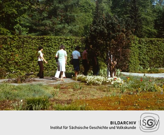 Anlegen Inselarm Pillnitz 1981 (Schloss Pillnitz)