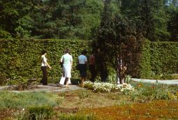 Bild: Anlegen Inselarm Pillnitz 1981 (Schloss Pillnitz)