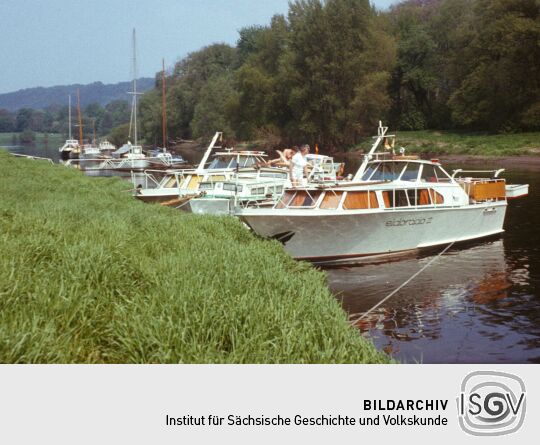 Anlegen Inselarm Pillnitz 1981