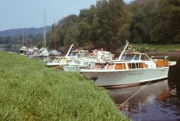 Bild: Anlegen Inselarm Pillnitz 1981