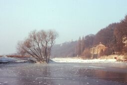 Bild: Winter 1981-82, Hafen (Dresden)