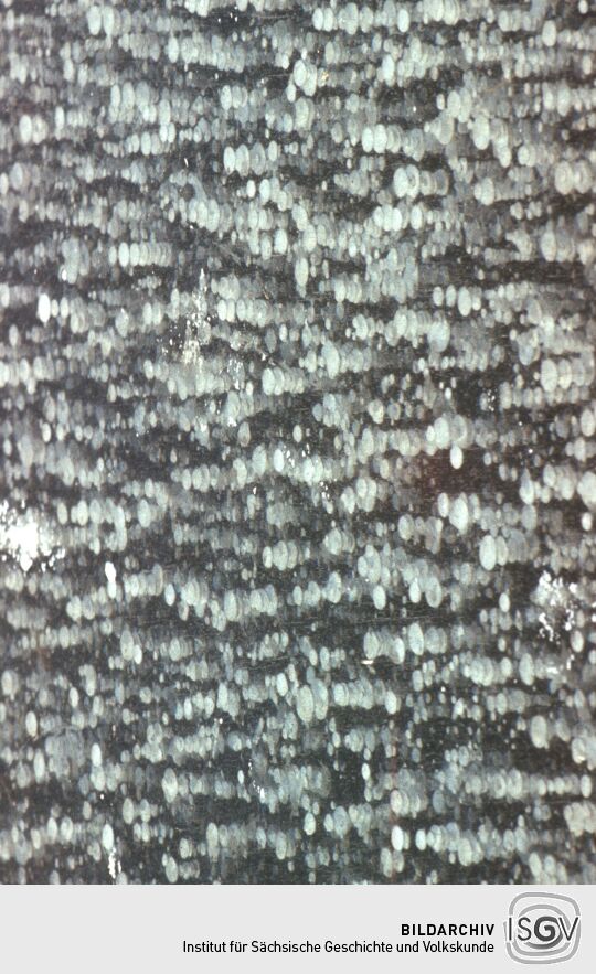 Winter 1981-82, Hafen (Dresden)