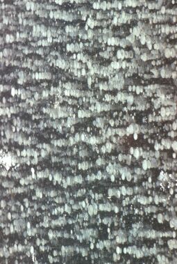 Bild: Winter 1981-82, Hafen (Dresden)