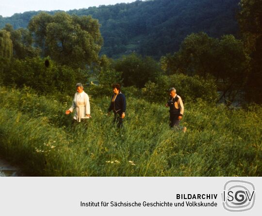 Urlaub Postelwitz 1982