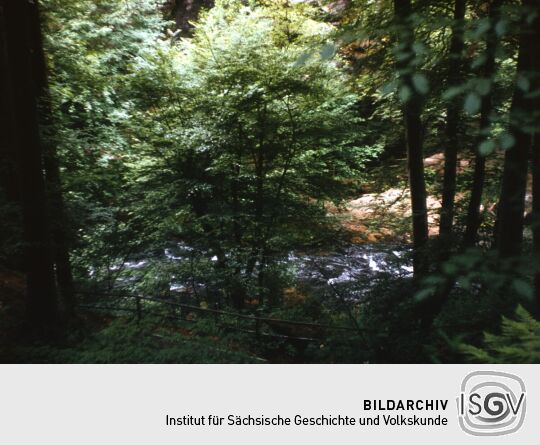 Urlaub Postelwitz 1982