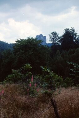 Bild: Urlaub Postelwitz 1982