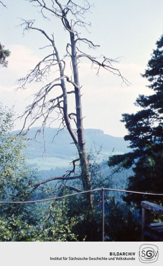 Urlaub Postelwitz 1982