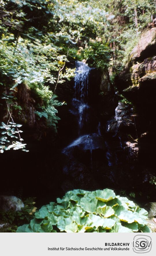 Urlaub Postelwitz 1982