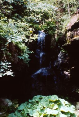 Bild: Urlaub Postelwitz 1982