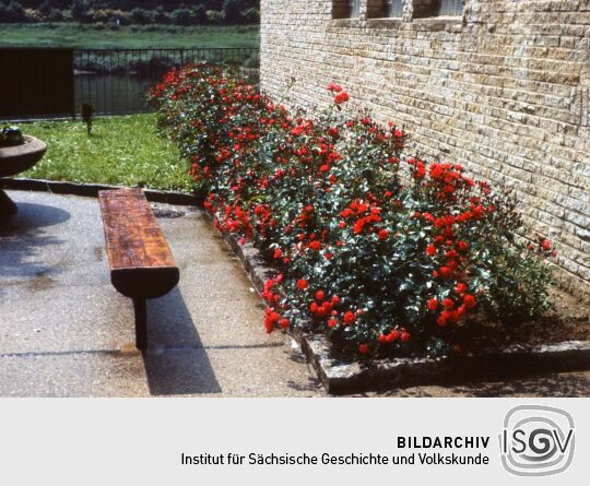 Urlaub Postelwitz 1982