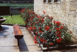 Bild: Urlaub Postelwitz 1982