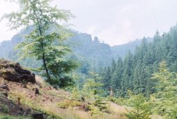 Bild: Urlaub Postelwitz 1982