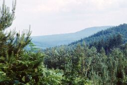 Bild: Urlaub Postelwitz 1982