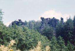 Bild: Urlaub Postelwitz 1982