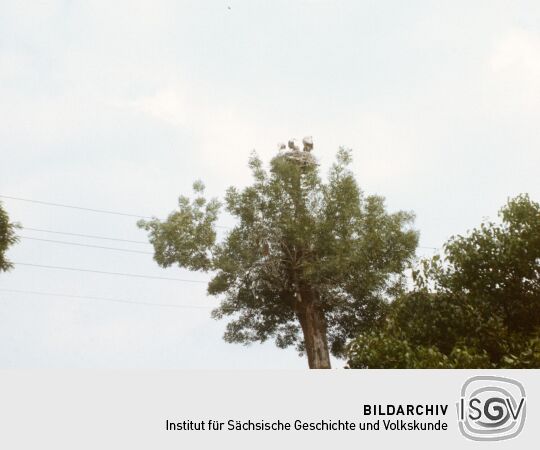 1988 Urlaub Elbe-Havelfahrt