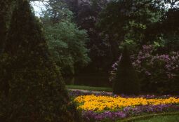 Bild: Urlaub Potsdam 1989