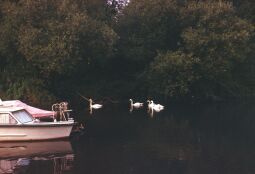 Bild: Hafen