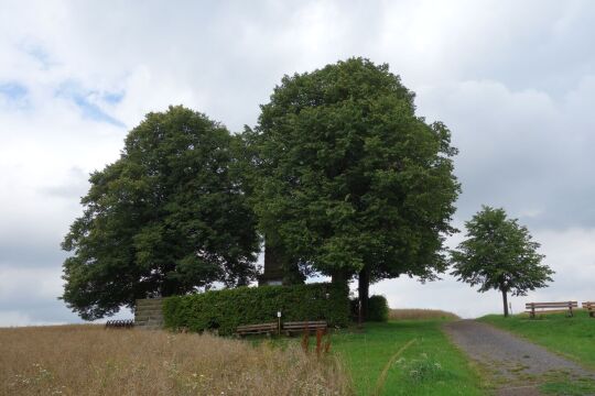 Aussichtspunkt auf der Hohburkersdorfer Höhe