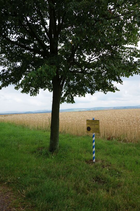 Aussichtspunkt auf der Hohburkersdorfer Höhe