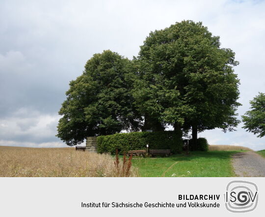 Aussichtspunkt auf der Hohburkersdorfer Höhe