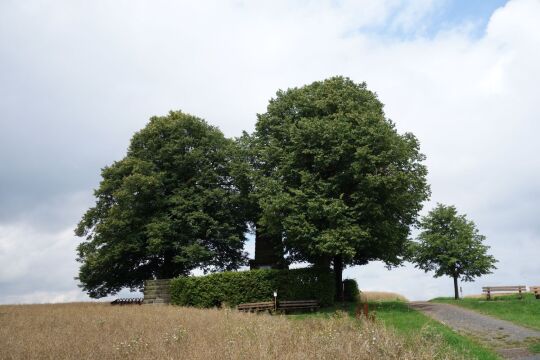 Aussichtspunkt auf der Hohburkersdorfer Höhe