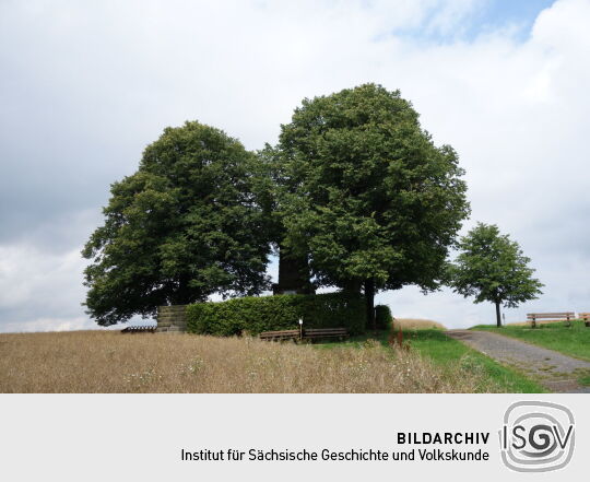 Aussichtspunkt auf der Hohburkersdorfer Höhe