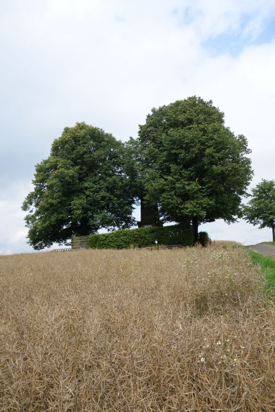 Aussichtspunkt auf der Hohburkersdorfer Höhe