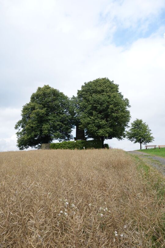 Aussichtspunkt auf der Hohburkersdorfer Höhe