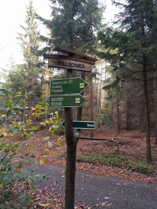 Wegweiser am Höllochweg auf dem Lampertstein