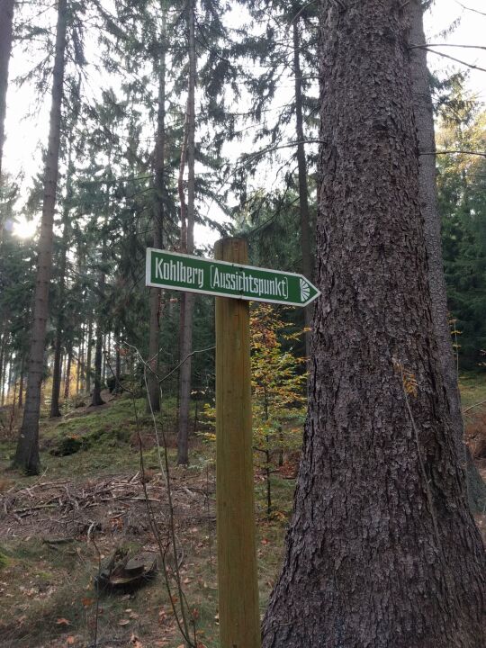 Wegweiser zum Aussichtspunkt Kohlberg auf dem Lampertstein