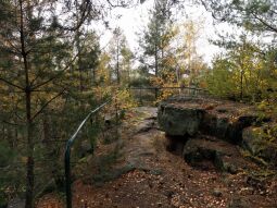 Am Kohlberg auf dem Lamperstein