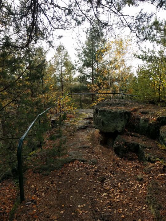 Am Kohlberg auf dem Lamperstein