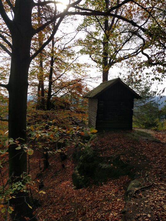 Schutzhütte am Aussichtspunkt Königsplatz im Nationalpark Sächsische Schweiz