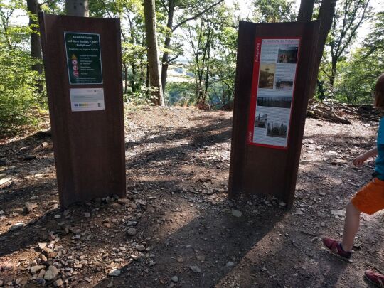 Informationstafeln am neuen Aussichtsturm auf dem Rodigt bei Nossen