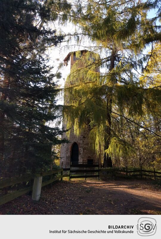 Der Felixturm  auf dem Schafberg bei Radeberg