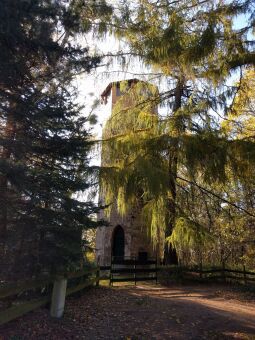 Der Felixturm  auf dem Schafberg bei Radeberg