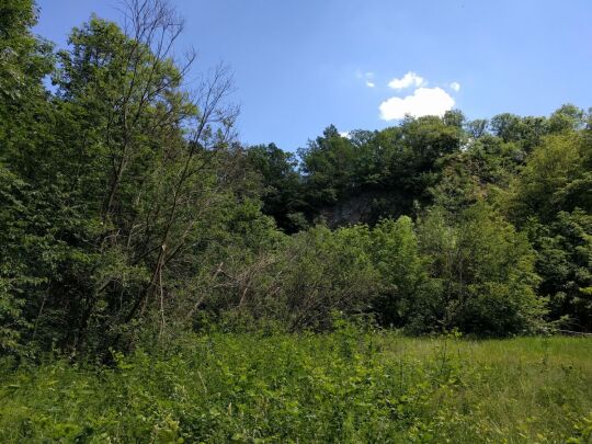 Ehemaliger Basaltsteinbruch am Wilisch bei Glashütte