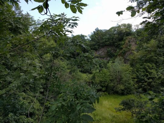 Ehemaliger Basaltsteinbruch am Wilisch bei Glashütte