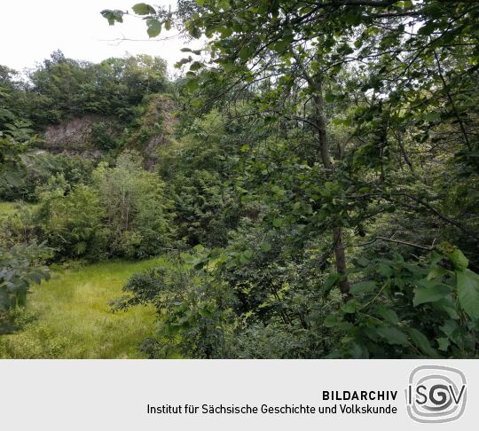 Ehemaliger Basaltsteinbruch am Wilisch bei Glashütte