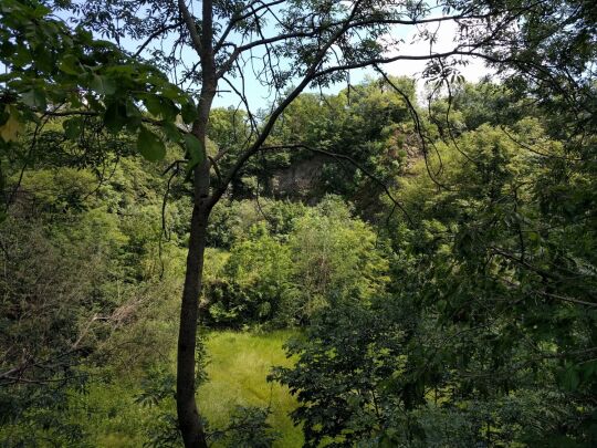 Ehemaliger Basaltsteinbruch am Wilisch bei Glashütte