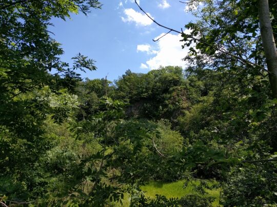 Ehemaliger Basaltsteinbruch am Wilisch bei Glashütte