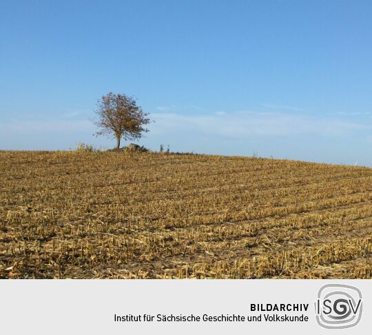 Der Standort des Schaugerüsts am Russen bei Bernstadt auf dem Eigen.