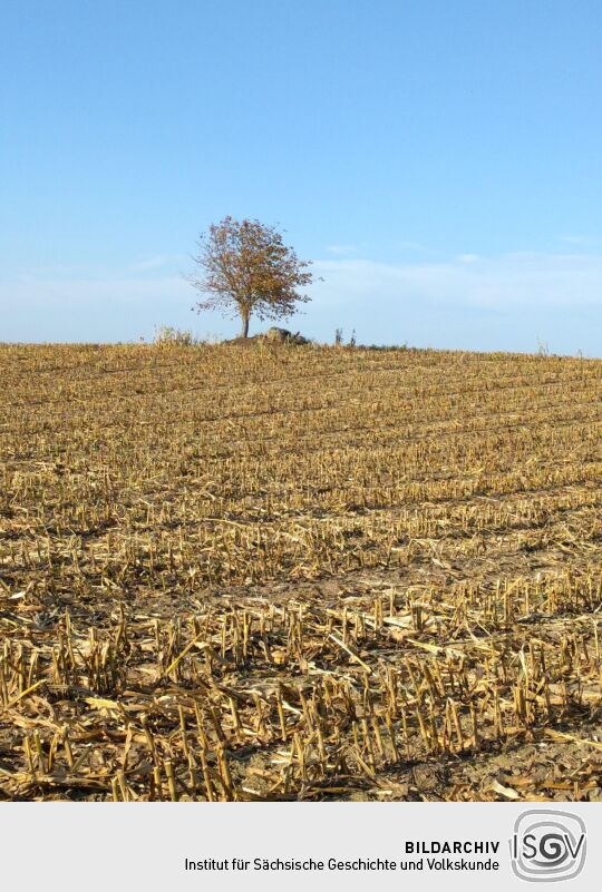 Der Standort des Schaugerüsts am Russen bei Bernstadt auf dem Eigen.