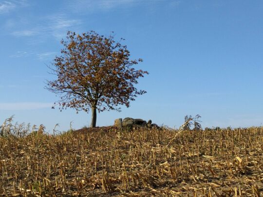 Der Standort des Schaugerüsts am Russen bei Bernstadt auf dem Eigen.