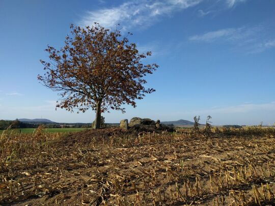 Der Standort des Schaugerüsts am Russen bei Bernstadt auf dem Eigen.