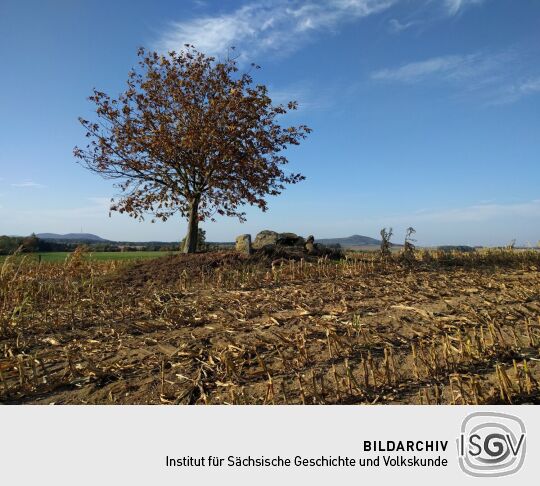 Der Standort des Schaugerüsts am Russen bei Bernstadt auf dem Eigen.