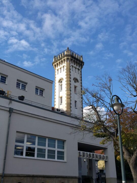 Der Aussichtsturm am Luisenhof in Dresden-Weißer Hirsch