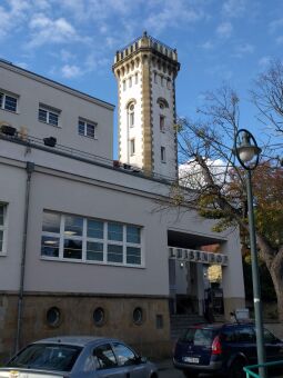 Der Aussichtsturm am Luisenhof in Dresden-Weißer Hirsch