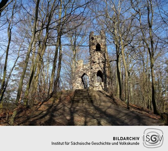 Ruine mit Aussichtsturm auf dem Schlossberg in Bad Schandau